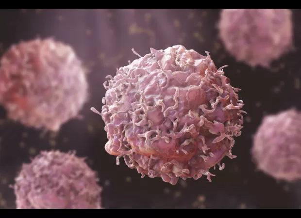 Scientists identified a 