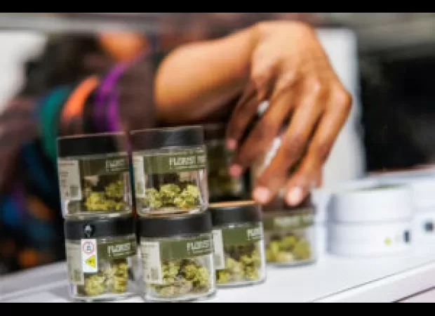 Sheena Roberson is creating opportunities for WOC to lead in the cannabis industry.