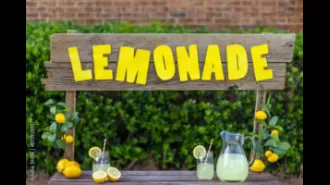 A kid was reported to the AL Labor Dept for running a lemonade stand.