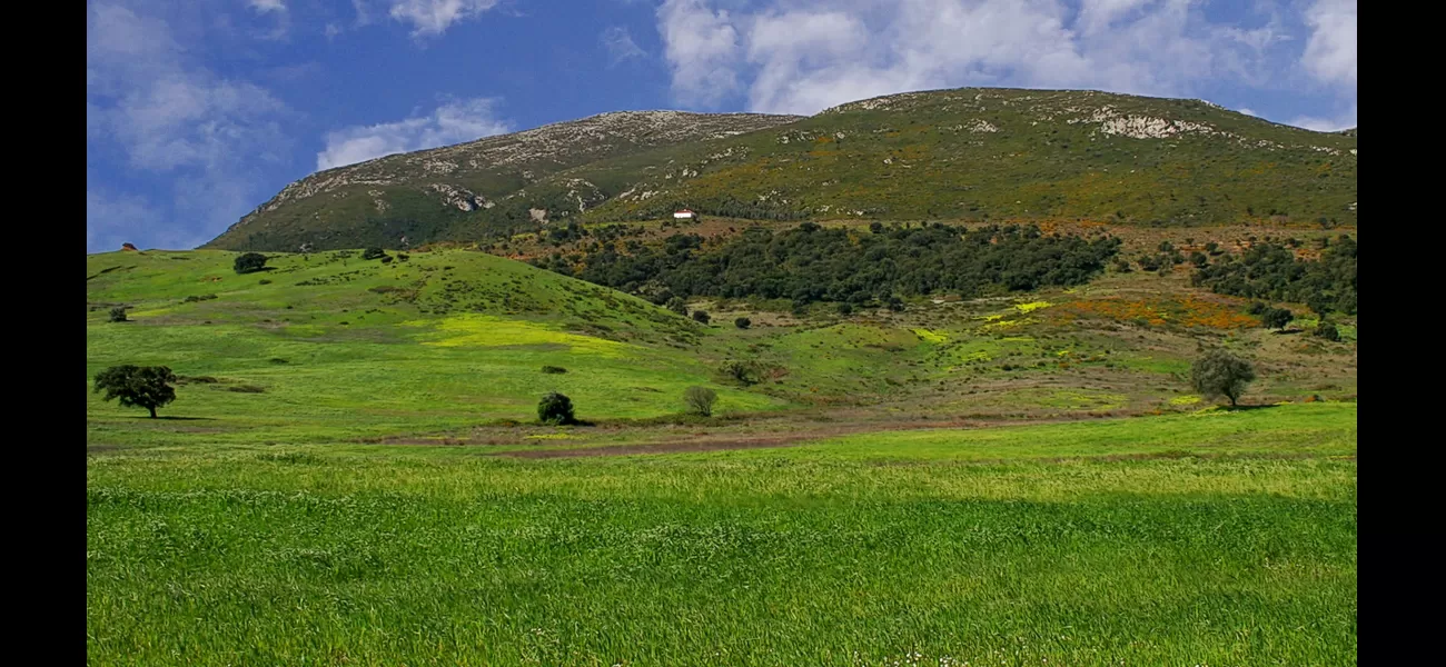 Man from Britain dies after paragliding accident in Portugal.