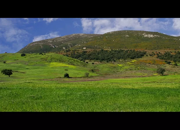 Man from Britain dies after paragliding accident in Portugal.