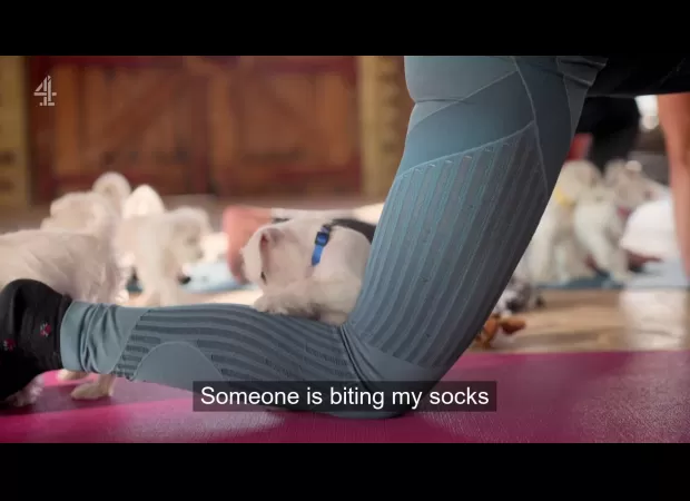 Peta criticizes Channel 4 for airing 