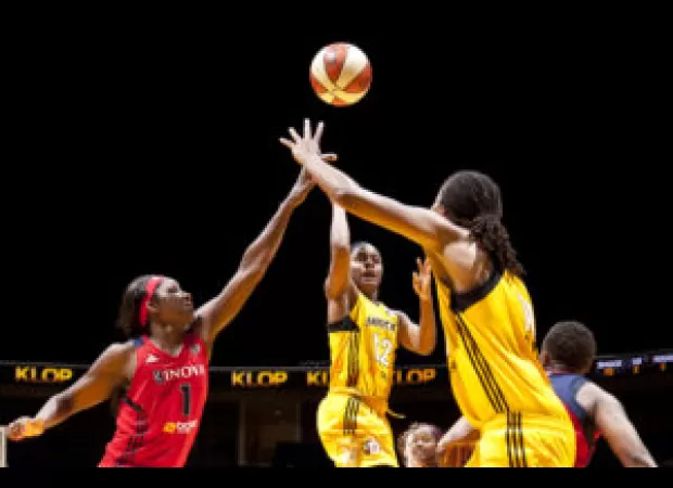 WNBA players create a new basketball league for women during the offseason.