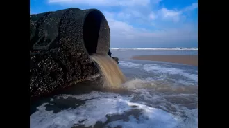54 UK beaches have a sewage alert issued due to heavy rain.