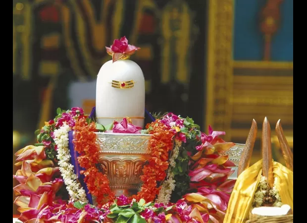 Plant a sapling to celebrate Hariyali Amavasya and make it meaningful.