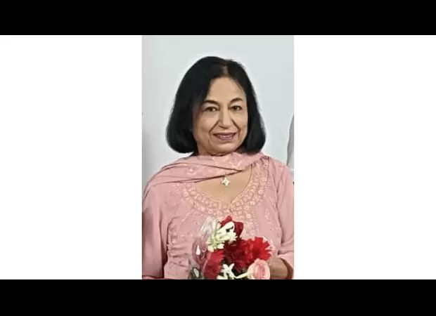 Person wants to establish a collective of Sindhi language enthusiasts in major cities.