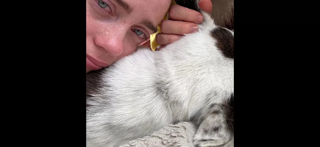 Billie Eilish shares her grief over the death of her beloved dog, Pepper, her 