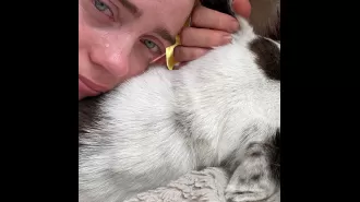 Billie Eilish shares her grief over the death of her beloved dog, Pepper, her 