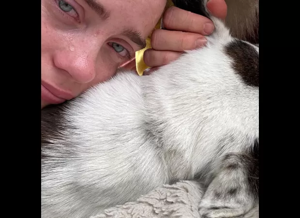 Billie Eilish shares her grief over the death of her beloved dog, Pepper, her 