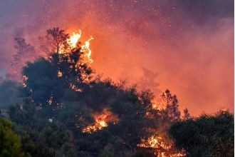 25 people killed and 1,500 evacuated as wildfires spread in Algeria.