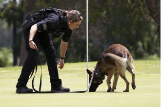 Joe Biden's dog has bitten SS agents 10 times in 4 months.