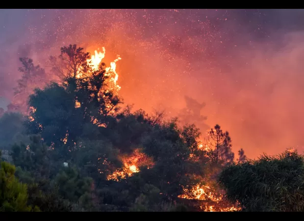 25 people killed and 1,500 evacuated as wildfires spread in Algeria.