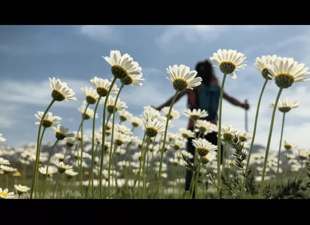 Replace phone browsing with 6 productive activities to help reduce screen time.