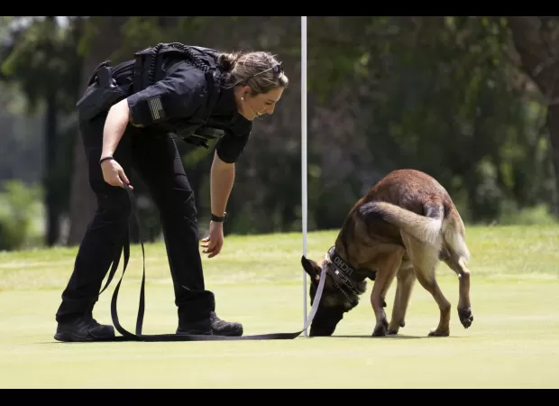 Joe Biden's dog has bitten SS agents 10 times in 4 months.