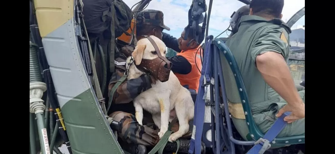 Mady, a Search and Rescue Dog, was airlifted to Nagaland from violence-stricken Manipur after suffering heatstroke.