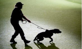Police dog mauls Black man in Ohio after traffic stop, causing serious injury.