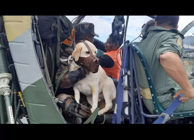 Mady, a Search and Rescue Dog, was airlifted to Nagaland from violence-stricken Manipur after suffering heatstroke.
