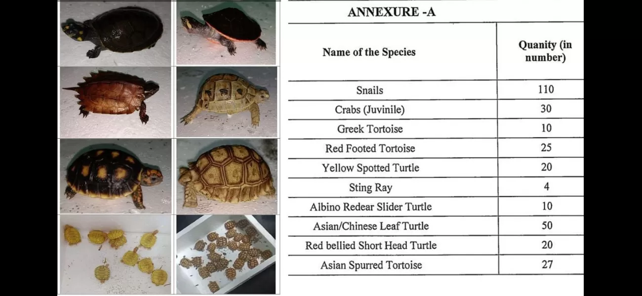 DRI discovers 306 live exotic animals illegally smuggled into Mumbai via air cargo.