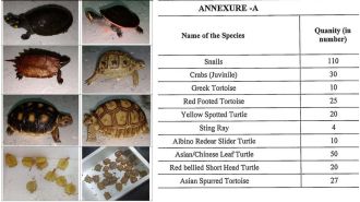 DRI discovers 306 live exotic animals illegally smuggled into Mumbai via air cargo.