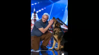 Finn, the heroic dog from Britain's Got Talent, dies after being stabbed multiple times while protecting his owner. His bravery moved Simon Cowell to tears.