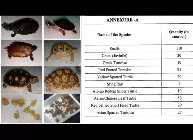 DRI discovers 306 live exotic animals illegally smuggled into Mumbai via air cargo.