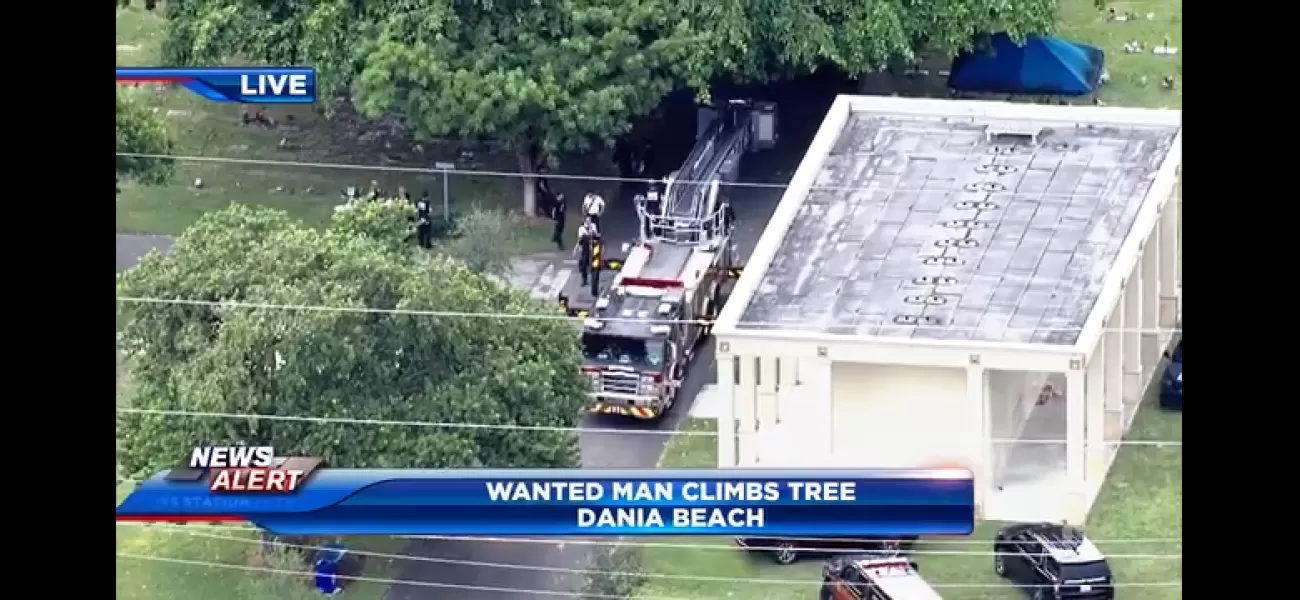 Man flees BSO, climbs tree in Dania Beach cemetery, then surrenders.