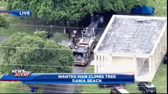 Man flees BSO, climbs tree in Dania Beach cemetery, then surrenders.