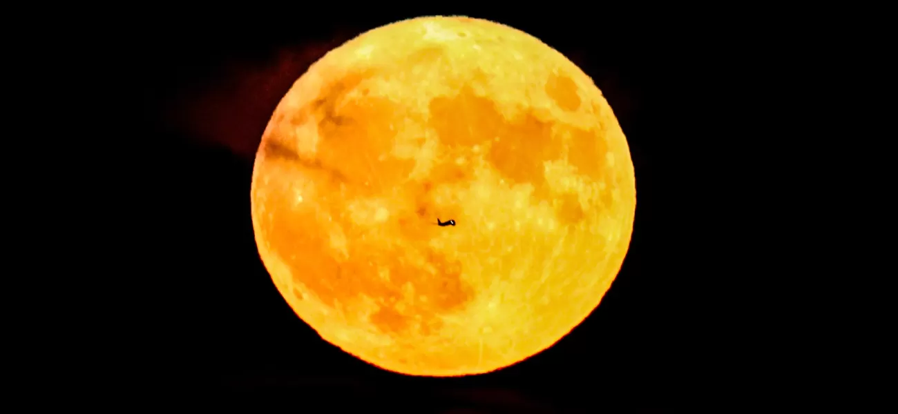 The stunning sight of the Sturgeon supermoon lit up the night sky.