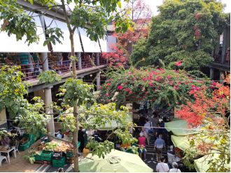 Funchal, Madeira's capital, is a natural oasis close to the city.