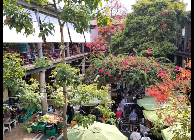Funchal, Madeira's capital, is a natural oasis close to the city.