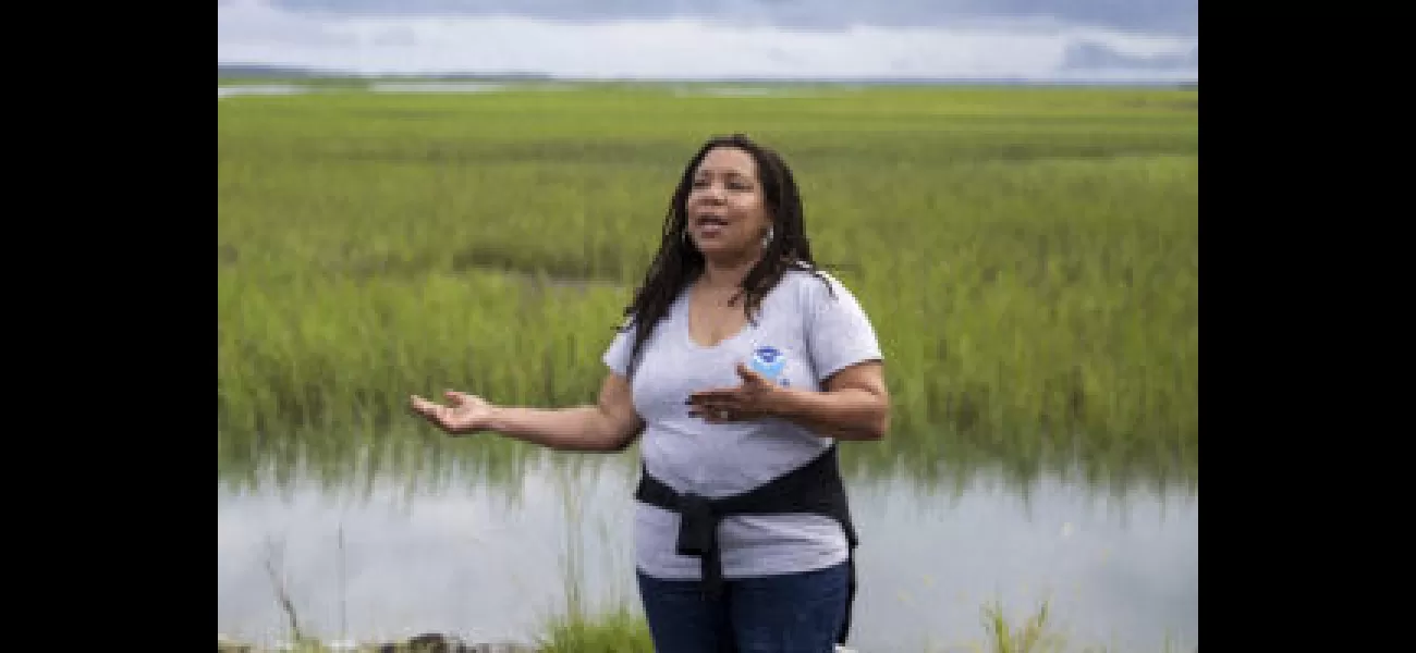Gullah-Geechee fighting to save land from gentrifiers in SC.