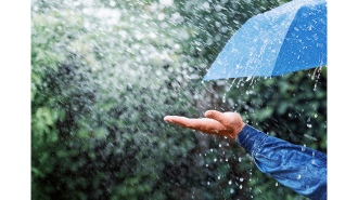 Chance of light showers in some districts.