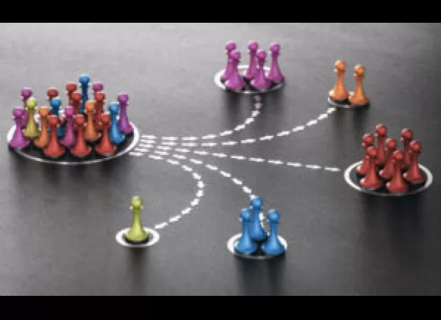 Organize activities that involve everyone to ensure their participation in tasks and projects.