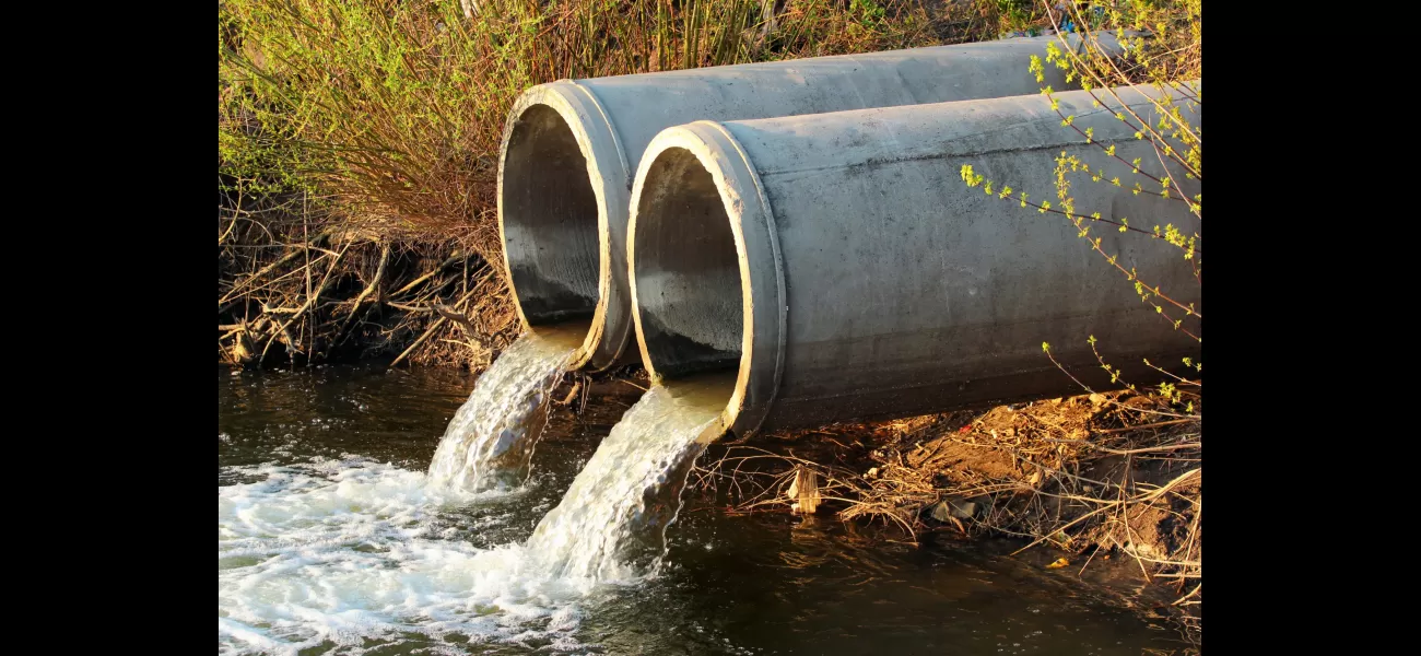 Water companies may face a £800m fine for not accurately reporting sewage discharge.