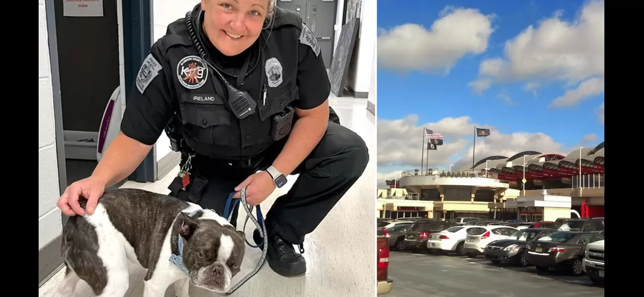 Woman leaves emotional support dog at airport when told it needed to be in a crate.