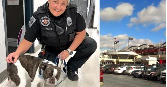 Woman leaves emotional support dog at airport when told it needed to be in a crate.