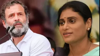 Sharmila congratulates Rahul Gandhi on being reinstated as MP and speculates a possible 