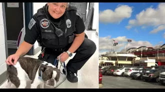 Woman leaves emotional support dog at airport when told it needed to be in a crate.