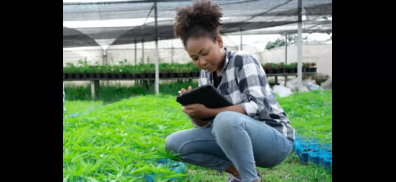 Applications open for Black farmers to access equity initiative resources.