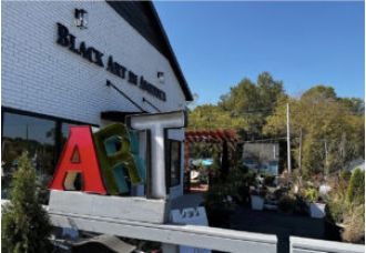 BAIA is launching its first Fine Art Print Fair, connecting art collectors with artists from across the US.