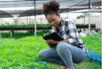 Applications open for Black farmers to access equity initiative resources.