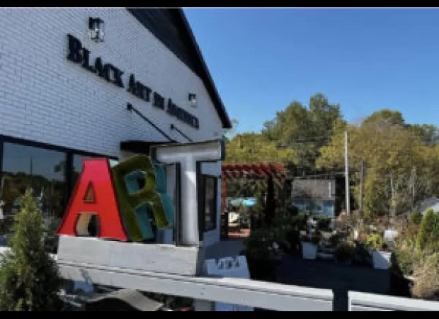 BAIA is launching its first Fine Art Print Fair, connecting art collectors with artists from across the US.