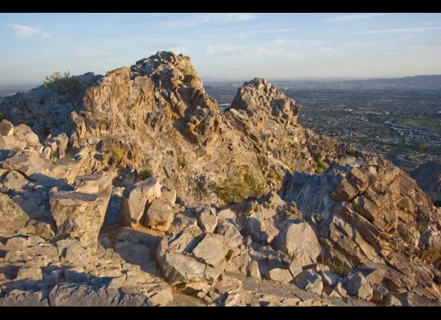 Owner put dog's life at risk by taking it on a hike despite heatwave warning. Dog died.