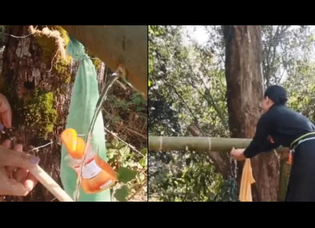 Minister Temjen Along shows how villages use bamboo to make innovative wash basins.