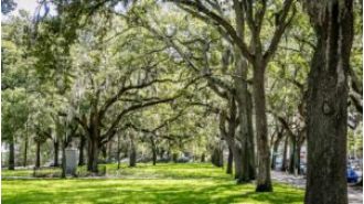 Public Square in Savannah, GA renamed to honor John Calhoun Removal & celebrate Black history.