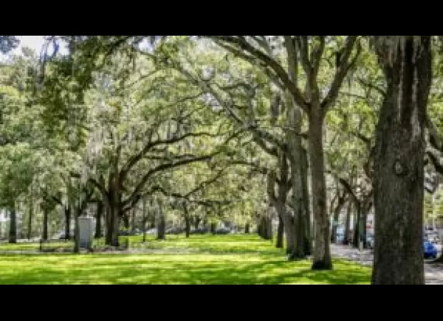 Public Square in Savannah, GA renamed to honor John Calhoun Removal & celebrate Black history.