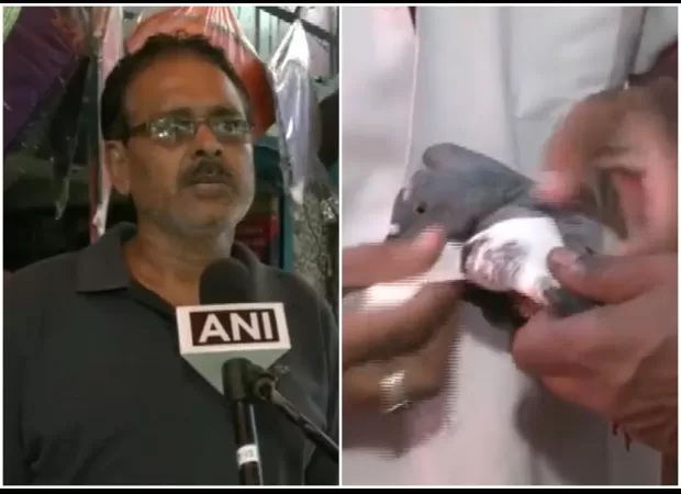 Delhi kite sellers won't sell 