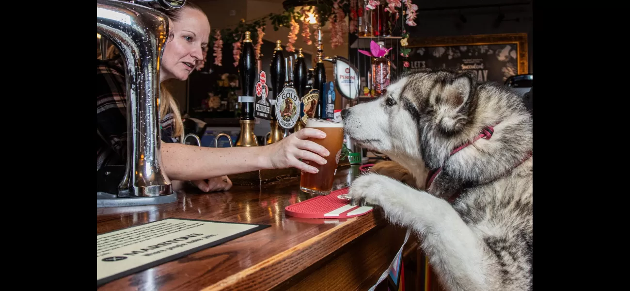 Britain's best pub for dogs has library of sticks and two menus exclusively for pets.