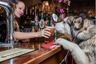 Britain's best pub for dogs has library of sticks and two menus exclusively for pets.