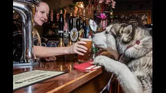 Britain's best pub for dogs has library of sticks and two menus exclusively for pets.